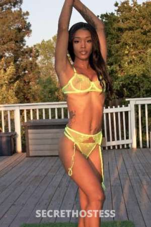 Aaliyah 26Yrs Old Escort 162CM Tall Northern Virginia DC Image - 9