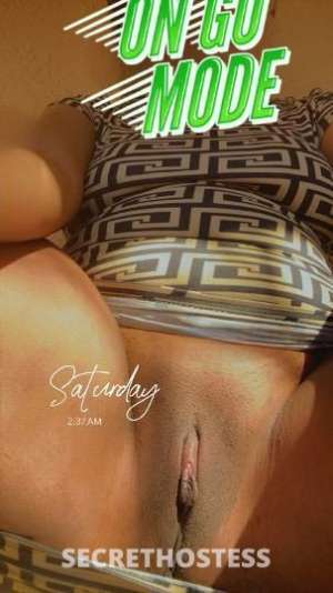 Amina 33Yrs Old Escort Tampa FL Image - 1