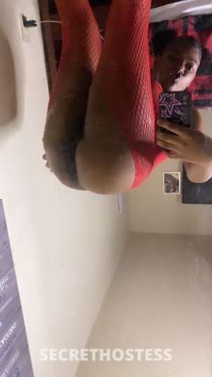 AsiaaandMari 19Yrs Old Escort Bakersfield CA Image - 7