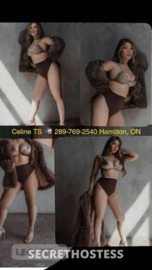 Celine 29Yrs Old Escort Niagara Image - 3
