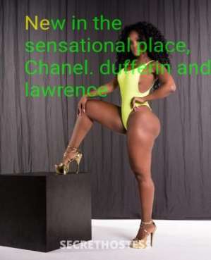 Chanel 26Yrs Old Escort Toronto Image - 1