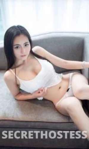 Cindy 26Yrs Old Escort Size 8 166CM Tall Brisbane Image - 3