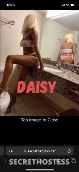 Daisy 26Yrs Old Escort 165CM Tall Rochester NY Image - 0