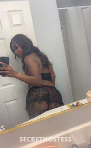 Eboneyy 18Yrs Old Escort 172CM Tall Oakland CA Image - 6