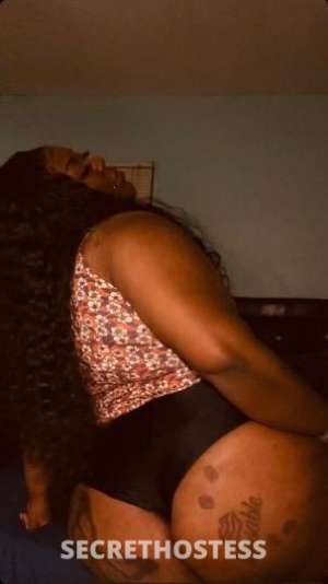 Ebony 28Yrs Old Escort Tampa FL Image - 5