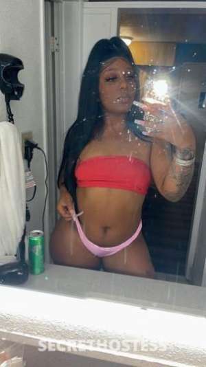 Jasmine 21Yrs Old Escort Los Angeles CA Image - 1