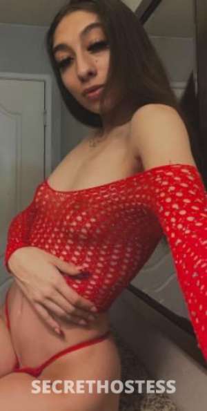 23 Year Old Italian Escort Los Angeles CA - Image 3