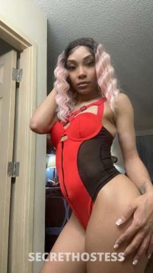 Lola 25Yrs Old Escort Boston MA Image - 1