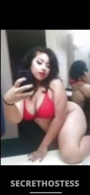 Maria 21Yrs Old Escort San Jose CA Image - 2