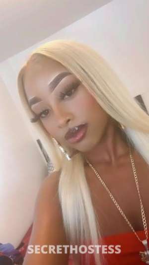 Miami 26Yrs Old Escort San Diego CA Image - 6