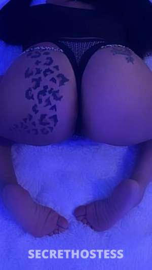 MissBeautifuldream 31Yrs Old Escort Baltimore MD Image - 5