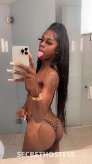 MsWetWet 25Yrs Old Escort Raleigh NC Image - 2