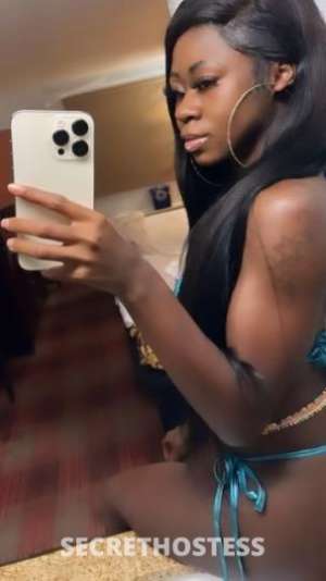 Nini 24Yrs Old Escort Concord CA Image - 1