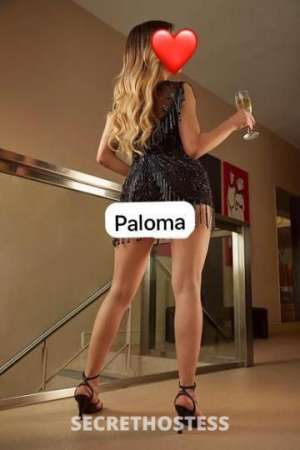 Paloma 35Yrs Old Escort Fort Lauderdale FL Image - 6