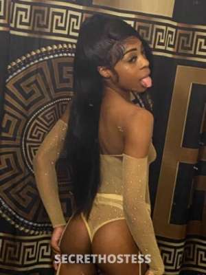 Princess 20Yrs Old Escort Concord CA Image - 4