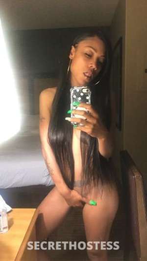 Sam 26Yrs Old Escort Oakland CA Image - 3