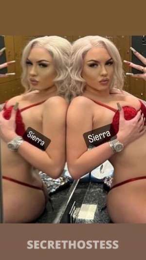 Sierra 20Yrs Old Escort San Buenaventura CA Image - 1