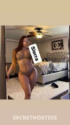 Sierra 20Yrs Old Escort San Buenaventura CA Image - 2