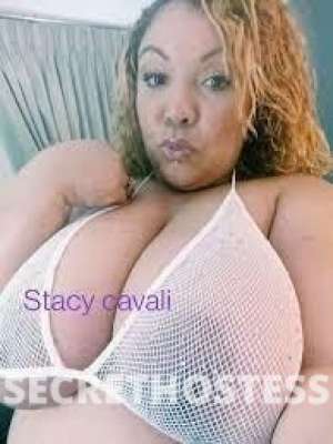 Stacycavali 24Yrs Old Escort San Jose CA Image - 7