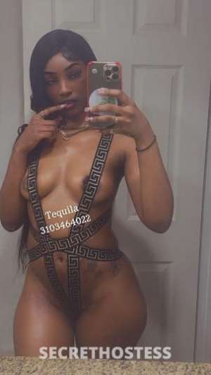 Tequila/MissDesirable 23Yrs Old Escort San Fernando Valley CA Image - 0