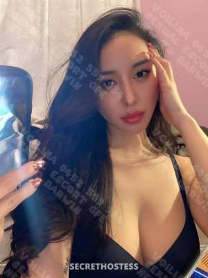 Viviana 25Yrs Old Escort Darwin Image - 7