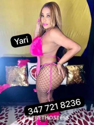 Yaris 27Yrs Old Escort Fredericksburg VA Image - 4