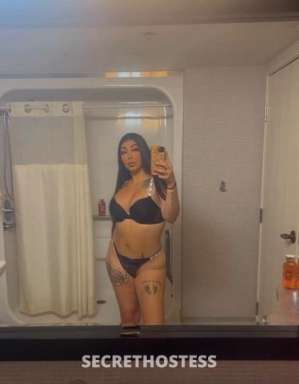 Exotic latina ❤️❤️.. hotel incall in North Bay CA