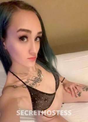 Kimmy 24Yrs Old Escort Lethbridge Image - 6