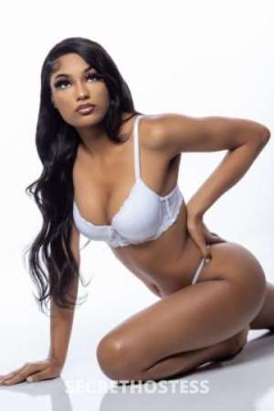 Mulan 19Yrs Old Escort Tucson AZ Image - 3