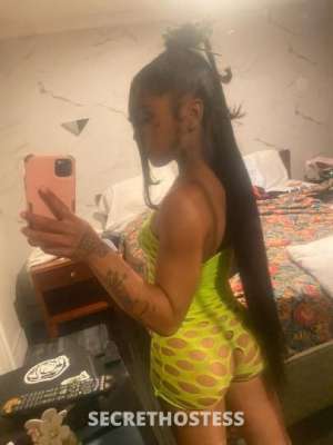 Red🍒 23Yrs Old Escort Panama City FL Image - 0