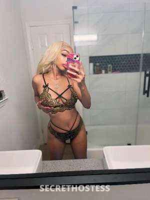 22Yrs Old Escort Houston TX Image - 1