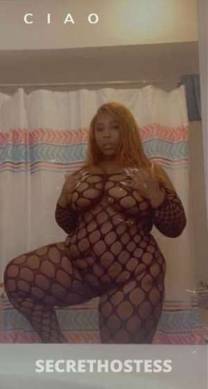 Kitty 20Yrs Old Escort Beaumont TX Image - 1