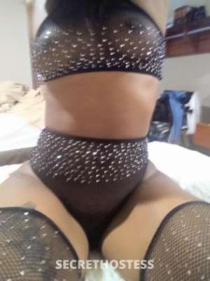 Missy 25Yrs Old Escort Buffalo NY Image - 1