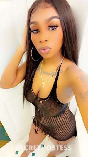 Nikki 23Yrs Old Escort Concord CA Image - 0