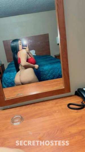 23Yrs Old Escort Westchester NY Image - 3