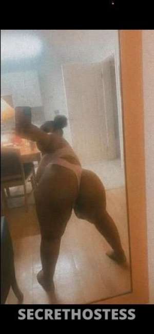 Ari 23Yrs Old Escort Lafayette LA Image - 5