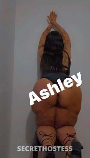 Ashley 27Yrs Old Escort Westchester NY Image - 4