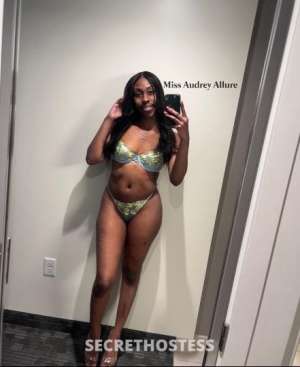 ❤.Alluring Chocolate Beauty! .❤ Available NOW in Seattle WA