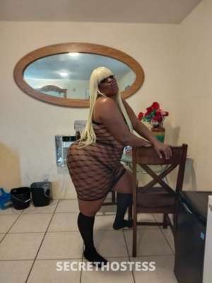 BigSexxi 39Yrs Old Escort Miami FL Image - 4