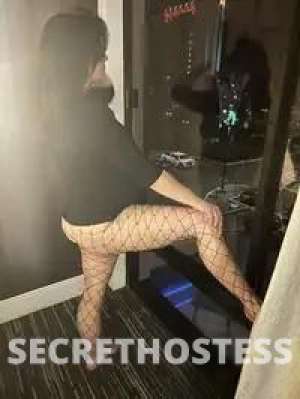 Brooke 36Yrs Old Escort San Jose CA Image - 4