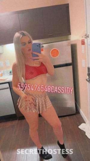 Cassidy 25Yrs Old Escort Los Angeles CA Image - 8