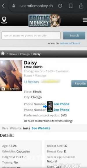 Daisy 24Yrs Old Escort Chicago IL Image - 0