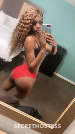 Diorrr 21Yrs Old Escort Memphis TN Image - 3