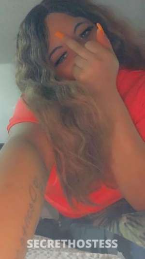 Exotic 23Yrs Old Escort Tri-Cities TN Image - 10
