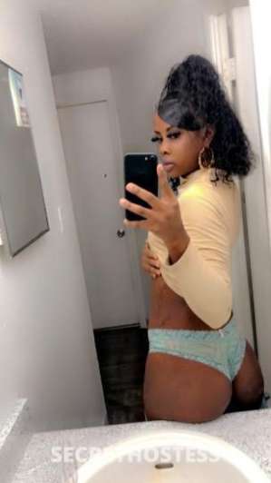 Fiji 25Yrs Old Escort Denver CO Image - 2