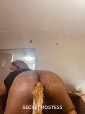 Fluff 24Yrs Old Escort Hampton VA Image - 3