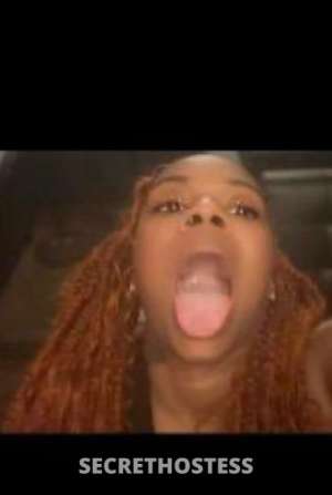 Jazz 23Yrs Old Escort Cincinnati OH Image - 3