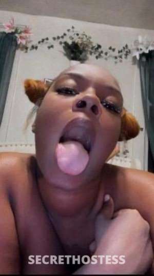 Jazz 23Yrs Old Escort Cincinnati OH Image - 4