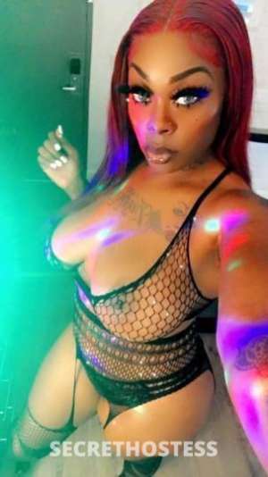 Kashegypt 26Yrs Old Escort Modesto CA Image - 6