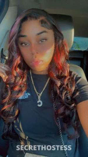 27 year old Escort in Houston TX 